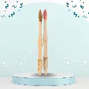 Fiber & Pink Bristle Combo